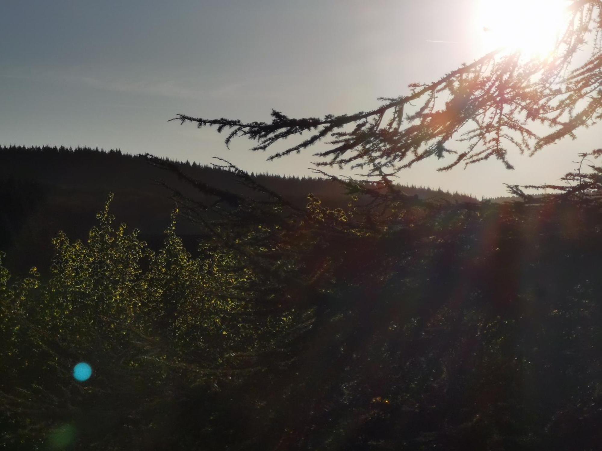 Gite La Bancale Lormes المظهر الخارجي الصورة